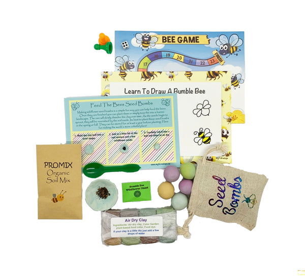 wildflower seed bomb kit Canada children's activities crafts shipped to your home activities to keep kids busy