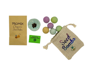 DIY wildflower seed bomb craft kit. shipped  to your door.  fun feed the bees craft kit for kids